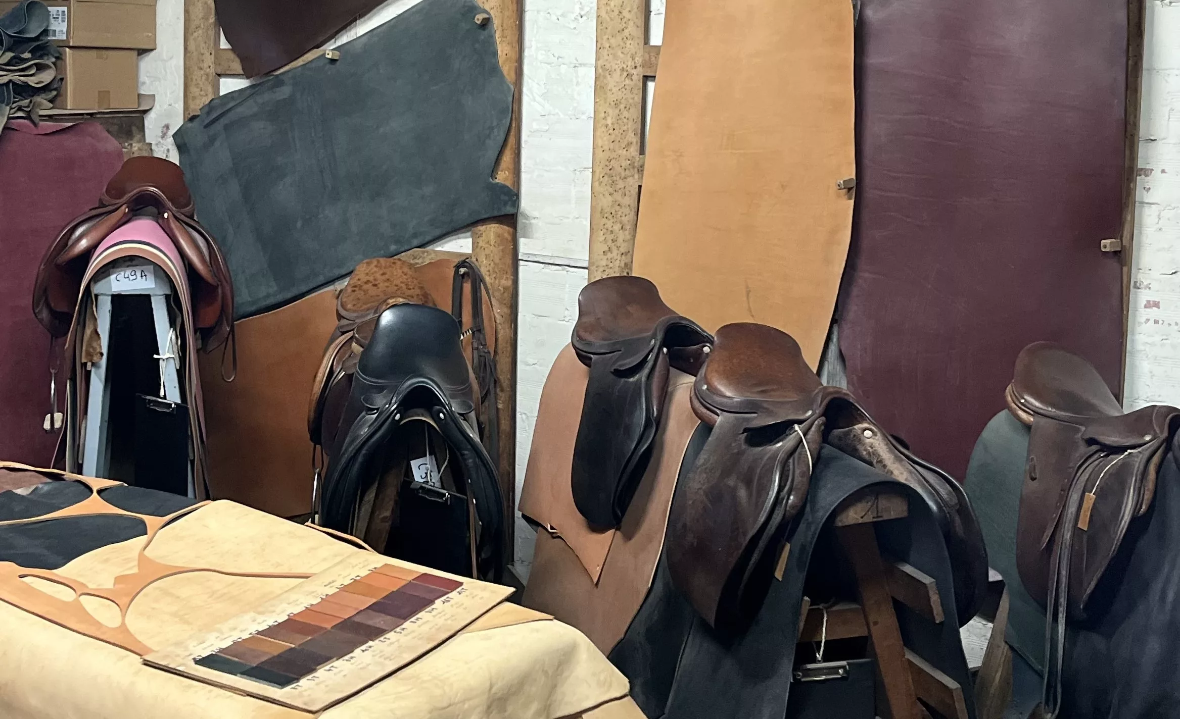 Traditional saddlery workshop with several bovine leather saddles of different sizes and shades, arranged on a table and against a wall in the background.