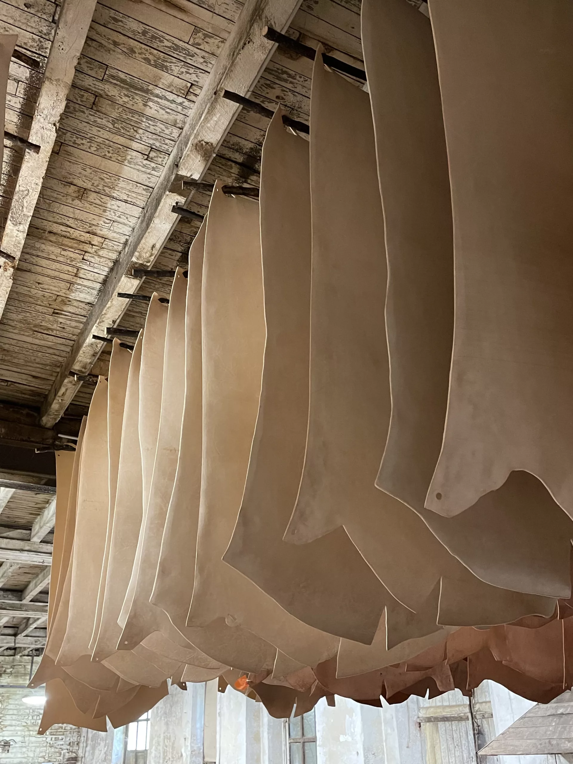 Pieces of bovine leather suspended from wooden bars, arranged in rows and beige in color, drying.
